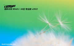 雨林木风win8.1最新64位快速功能版v2021.12